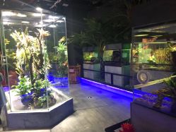 -未来动物城主题公园(正弘城店)