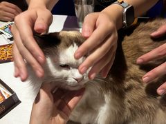 -游人馆·桌游狼人杀团建馆(人广书城店)