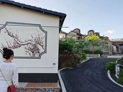 -广州市帽峰山景区