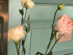 -南堂馆·新川菜(春熙路店)