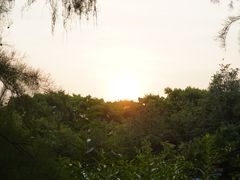 -上海滨江森林公园
