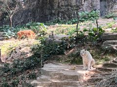 -广州长隆野生动物世界