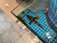 -老灶堂文创火锅(文艺路店)