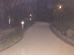 picture-南京汤山紫清湖生态旅游温泉度假区