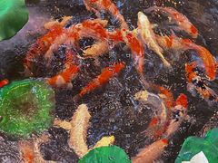 -火福·天湖阁大闸蟹博物馆主题餐厅(浅水湾店)