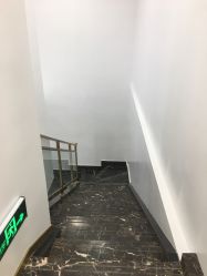 -YESIDO椰岛造型