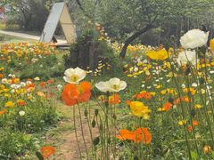 -名花谷生态庄园