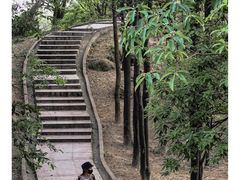 -火炉山森林公园