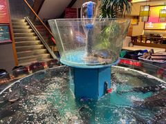 -魏铭鱼头捞饭(晋阳路店)