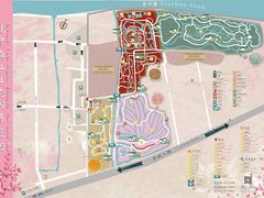 -花开海上生态园