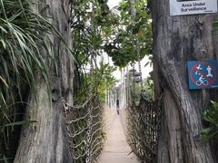 -圣淘沙名胜世界