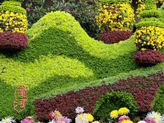 -杭州植物园