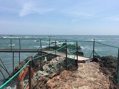 -海驴岛(荣成市)