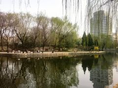 -团结湖公园