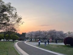 -苏州上方山国家森林公园
