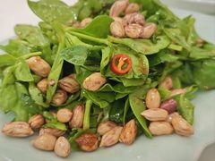 七彩穿心莲-王厚元饺子·辽菜·烤鸭(黄河大街店)