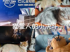 -芭比堂动物医院·心脏科·老年急重症·夜诊·吉雅分院