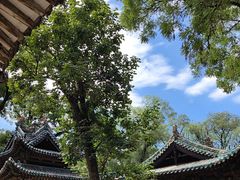 -晋祠公园