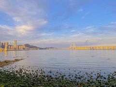 -星海湾跨海大桥