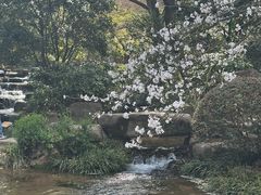 -中国茶叶博物馆(双峰馆区)