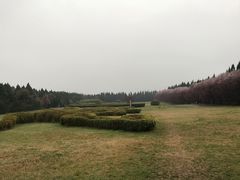 -秦始皇帝陵博物院-丽山园
