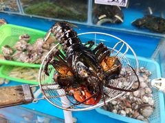 -云南巷海鲜大咖·可加工海鲜