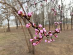 -廊坊市自然公园