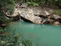 -广州白江湖森林公园