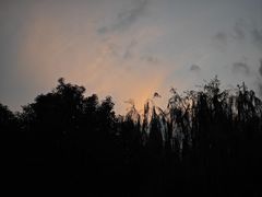 -西山漾湿地公园