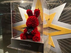 -ROSEONLY诺誓(广州K11店)