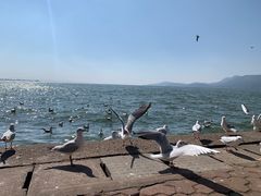 -滇池海埂公园