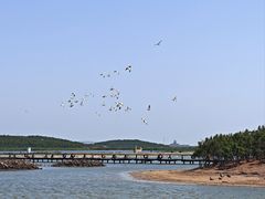 -南大港湿地风景区