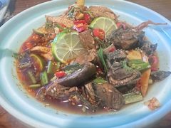 -紫滇源云南生态菜(丹凤街店)