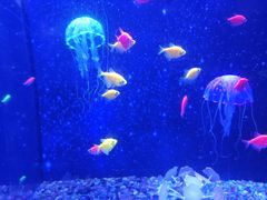 -常州海昌海洋探索馆