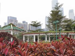 -广州珠江公园