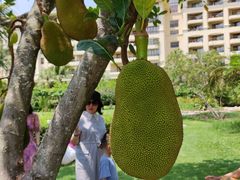 -三亚亚龙湾天域度假酒店