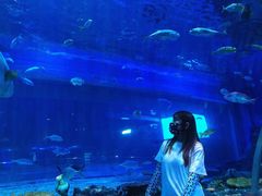 -华夏文旅西安度假区