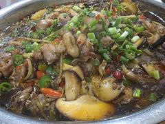 -食神又名厕所兔