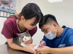 -爱诺耐芙动物医院(万博店)