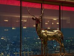 -北京柏悦酒店·锦庭餐厅Dining Room