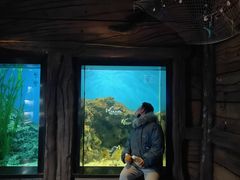 -锦艺城海洋馆