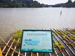-华侨城湿地公园