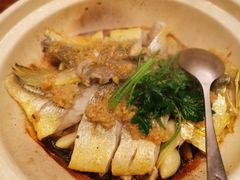 -张博士茗茶馆(外滩店)