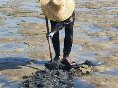 -北海金海湾红树林生态旅游区