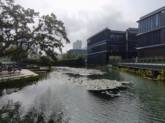 -星巴克(深圳前海企业公馆店)