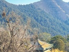 -潭柘寺景区