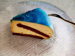 极光-Husky Go! 哈士奇体验馆·宠物咖啡厅狗咖