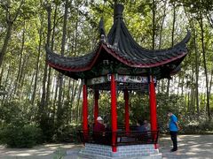 -仁和公园(顺义区)