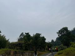 -水濂山森林公园