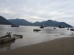 -北岐滩涂
